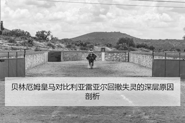 bei-lin-e-mu-huang-ma-dui-bi-li-ya-lei-ya-er-hui-che-shi-ling-de-shen-ceng-yuan-yin-pou-xi-2-672.jpg